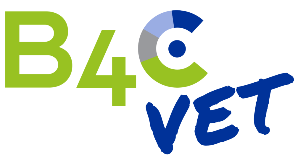 B4CVET: Partners Continue Preparations for the Training of Trainers in Ireland and the Development of Contextualised Competence Frameworks