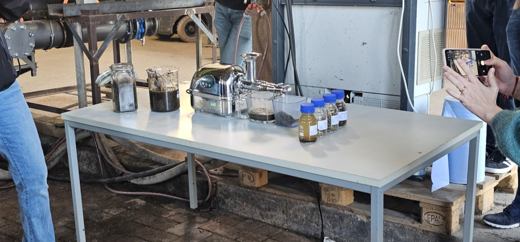 Why Bioenergy and Biochar Matter for Europe’s Green Transition