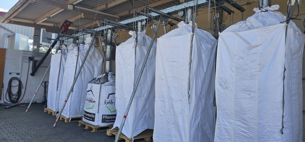The Circular Carbon Economy: From Biomass to Innovation